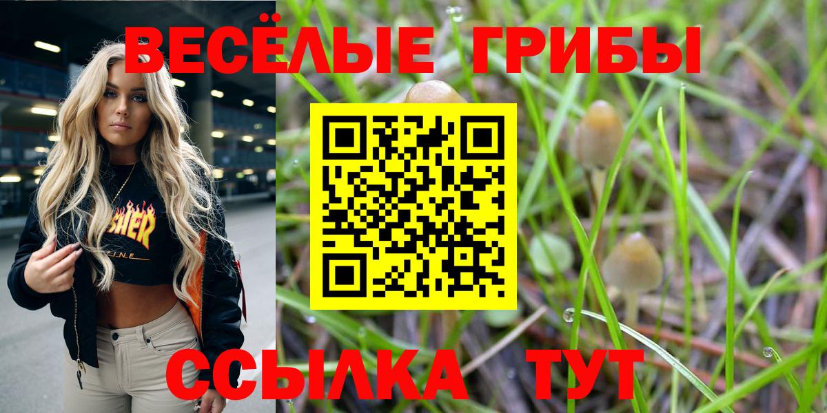 Галлюциногенные грибы Psilocybe  наркотики  Псилоцибиновые грибы Psilocybe  Бийск  Вход с VPN 
